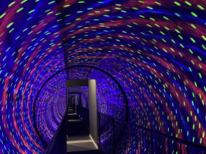 Mus&eacute;e de l'Illusion de Lyon