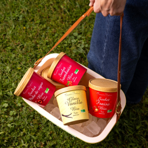 Gamme de glaces et sorbets Pralus ©Pookie Cookie Studio