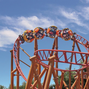 Le Twist  &copy; Le PAL