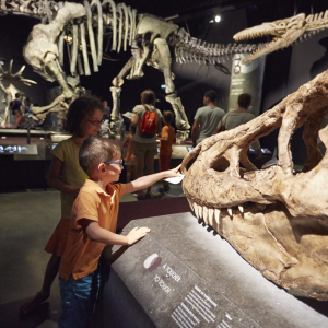 Children - Mus&eacute;e des Confluences